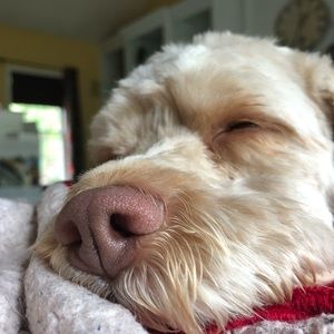 Meet your Posher, Kait